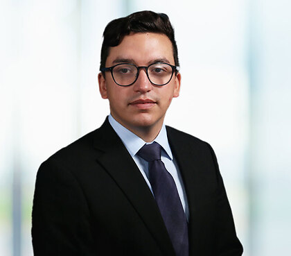 Felipe Sottorff Araya Business and Research Analyst