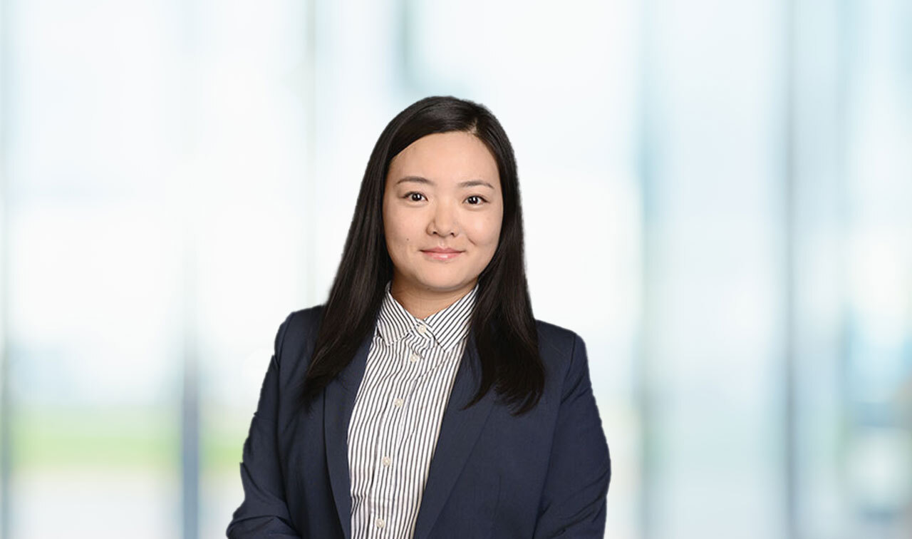 Congnan Zhan, Ph.D. Senior Economic Consultant / Data Scientist